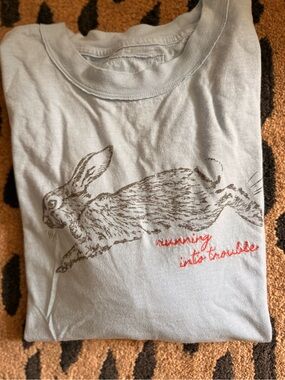 aerie Light Blue Short Sleeve Tee with Rabbit Graphic